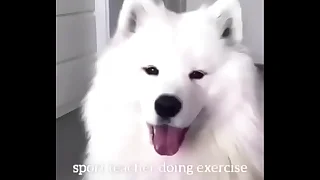 3365 doggystyle porn videos